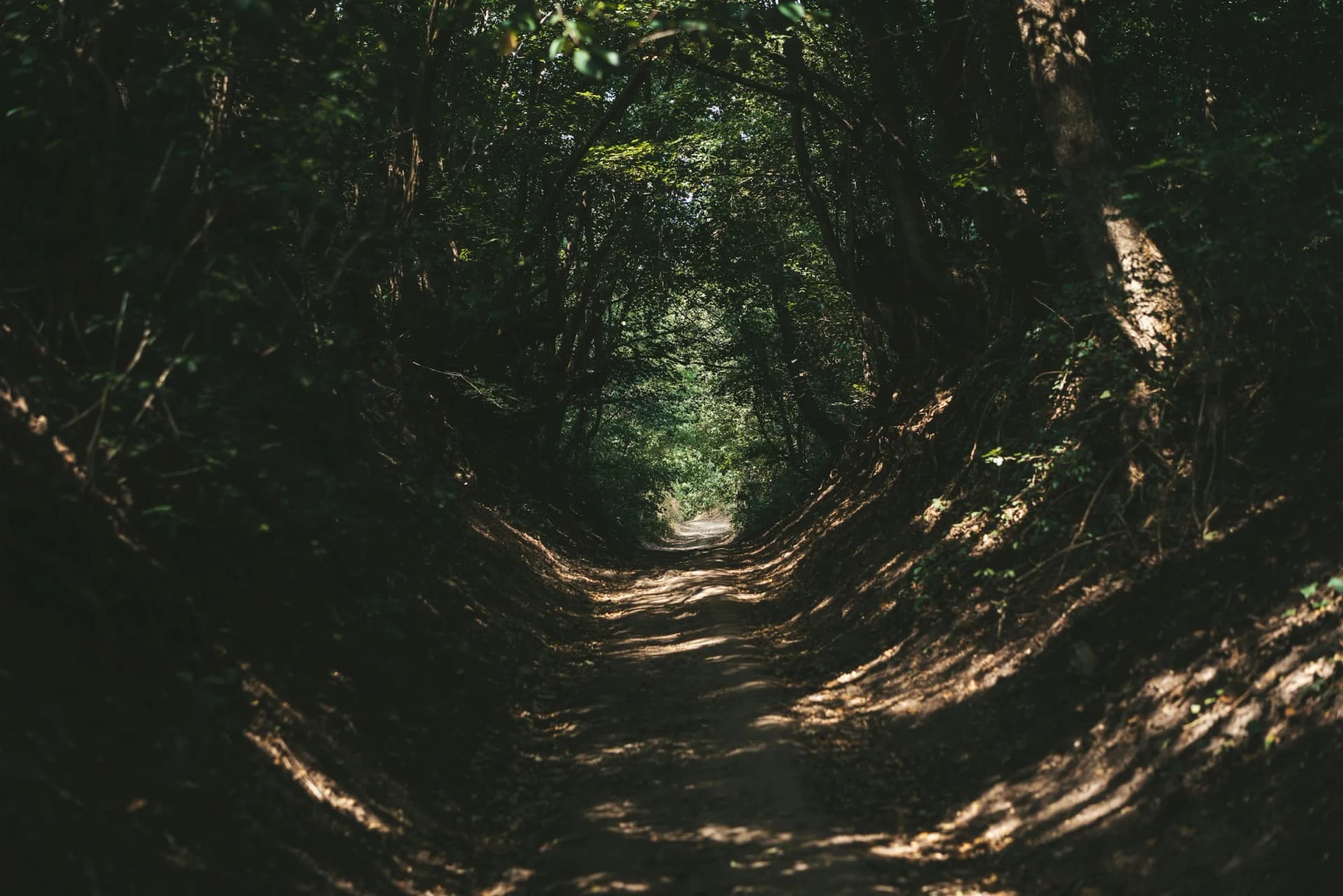 How to Know If Therapy Is Right for You