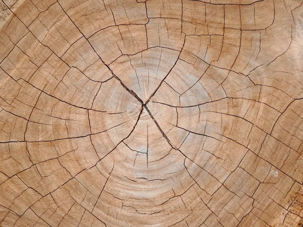 Why Do I Keep Making the Same Mistakes?