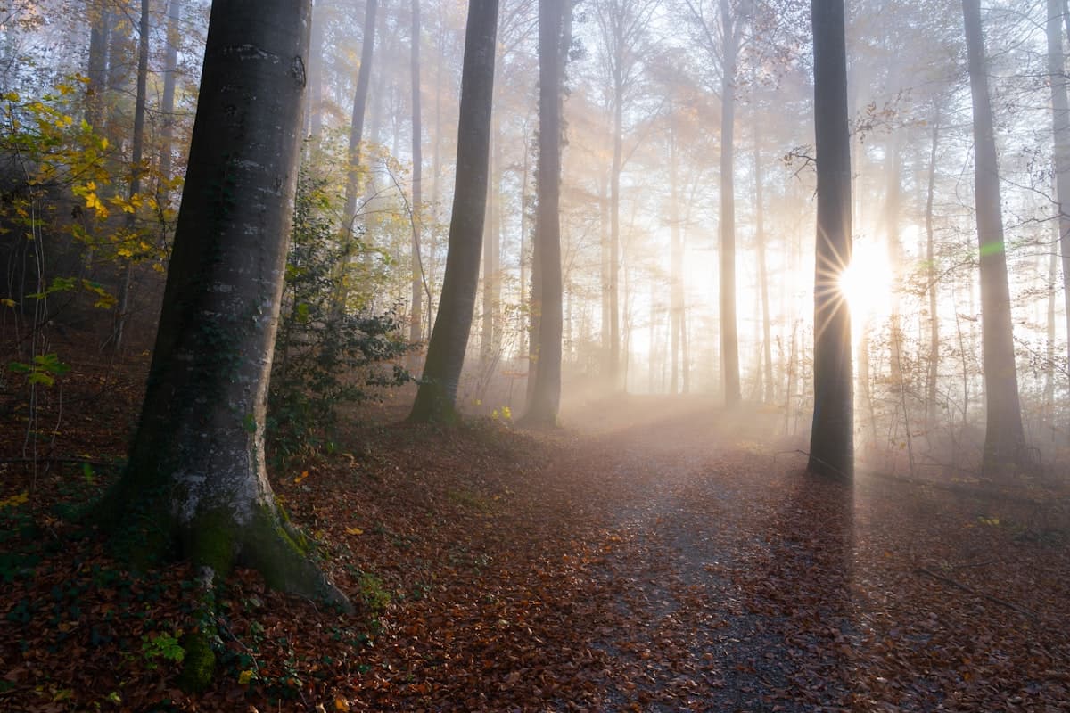 What Is Psychodynamic Therapy and How Does It Work?